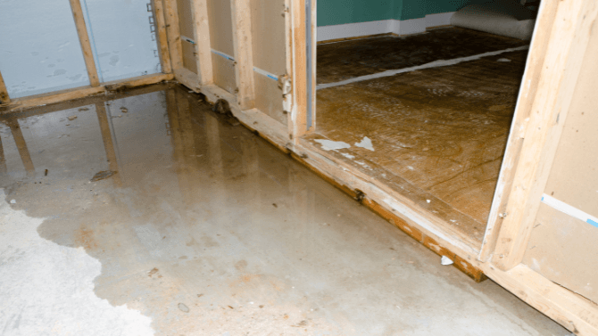 flooded basement