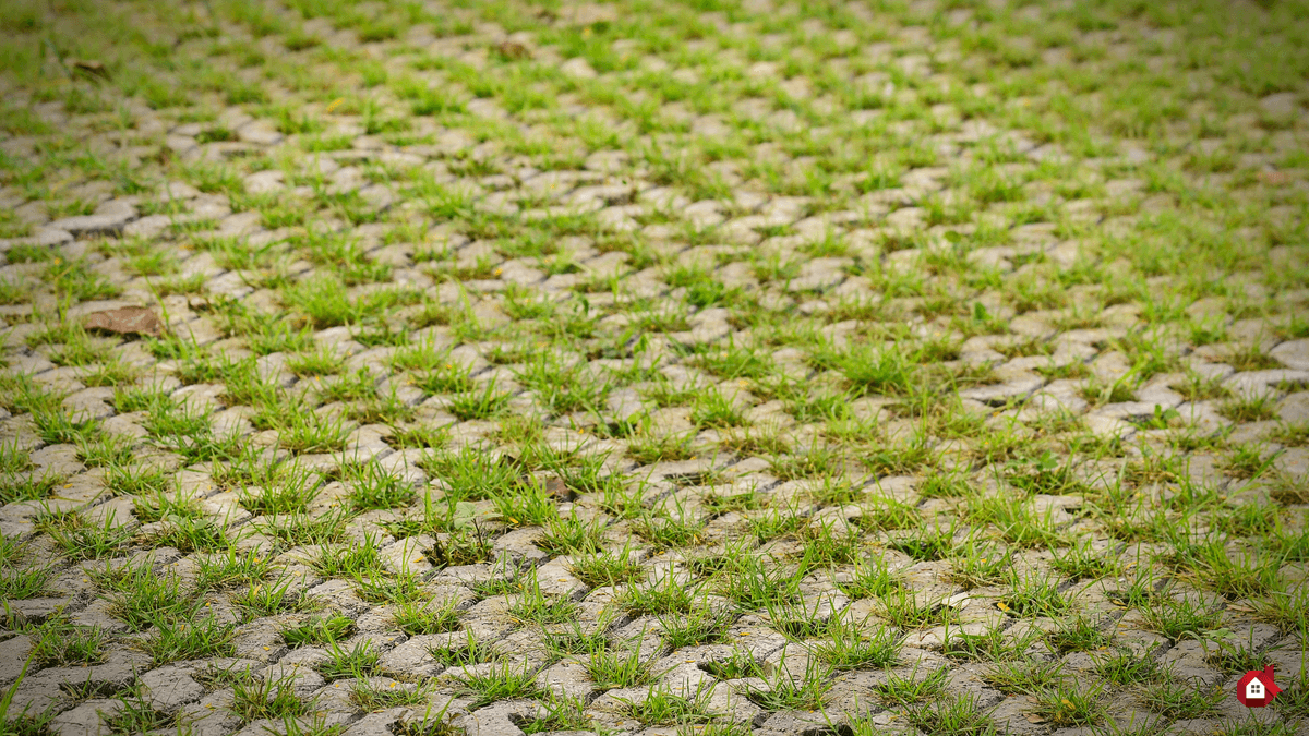 Honeycomb Pavers