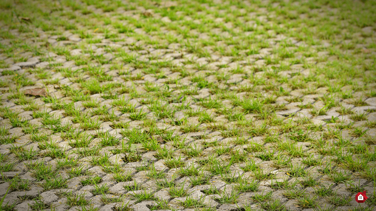 Honeycomb Pavers