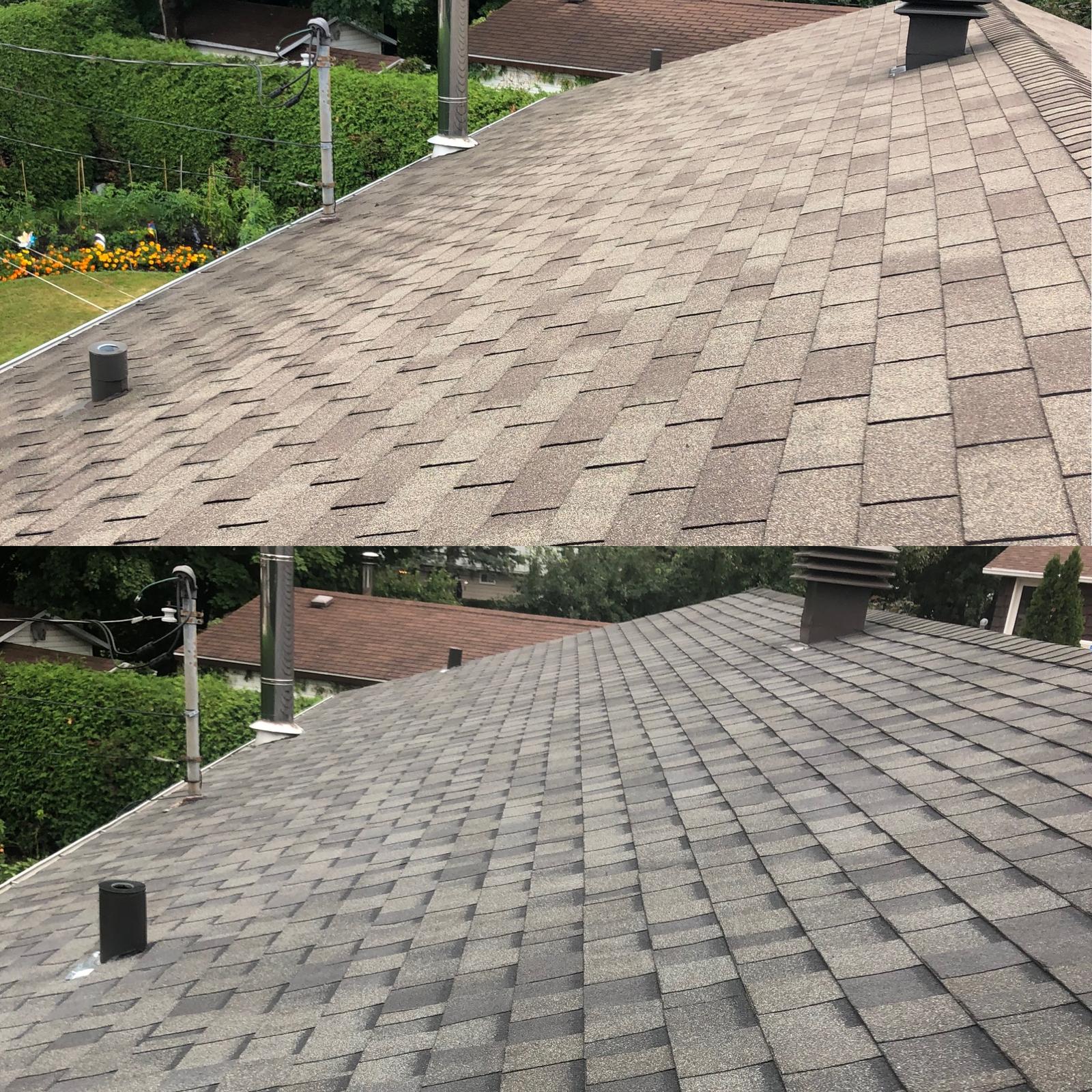 contractor gallery