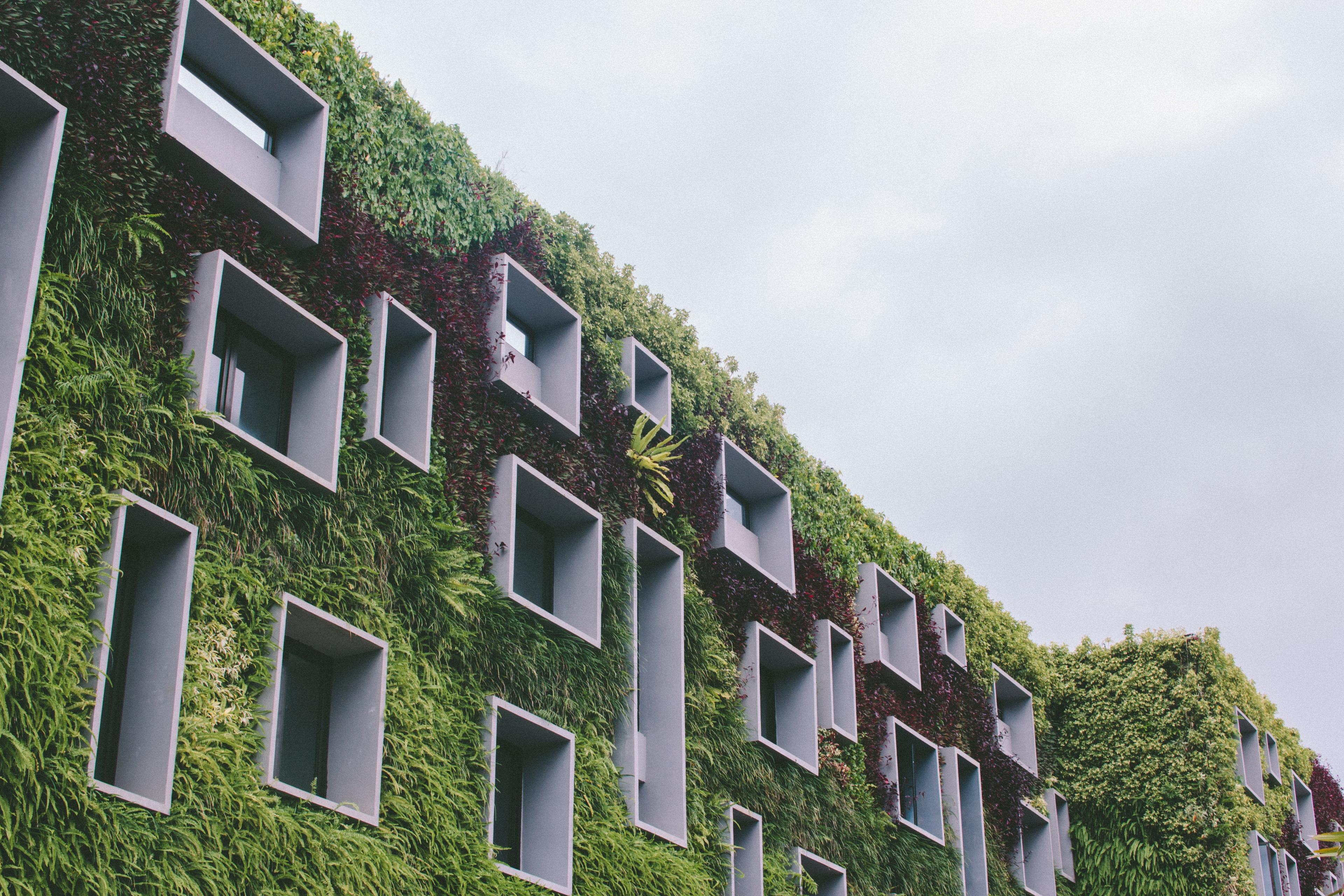 Green house_Everything about the Novoclimat program