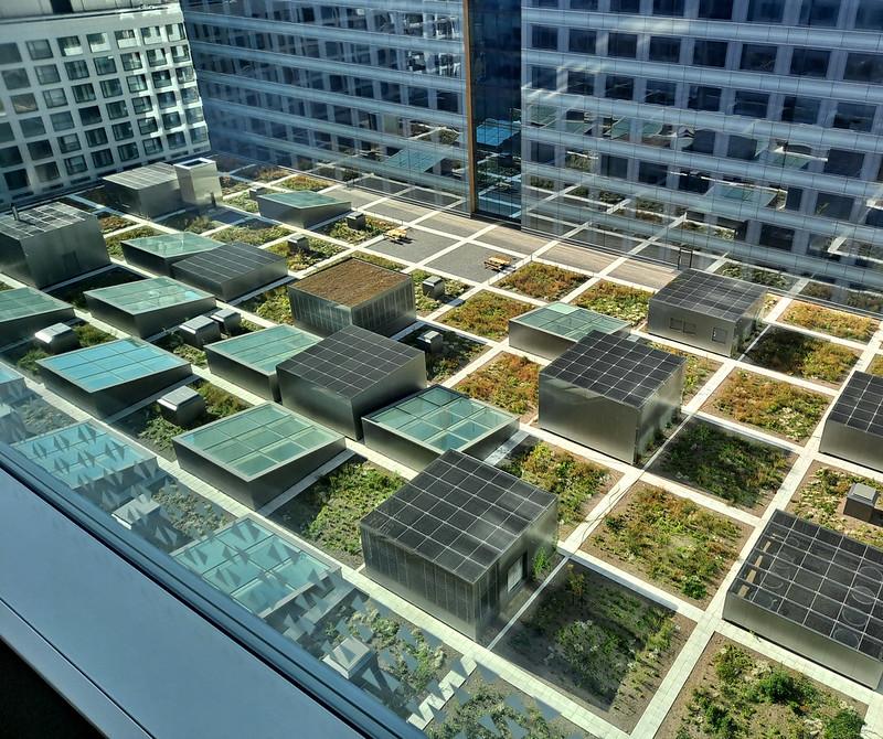 roof_the blue roof: a new, eco-friendly concept