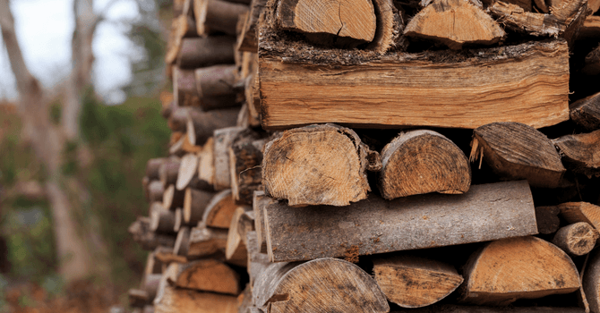 Maple firewood logs