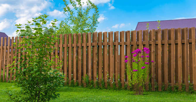 wooden fence