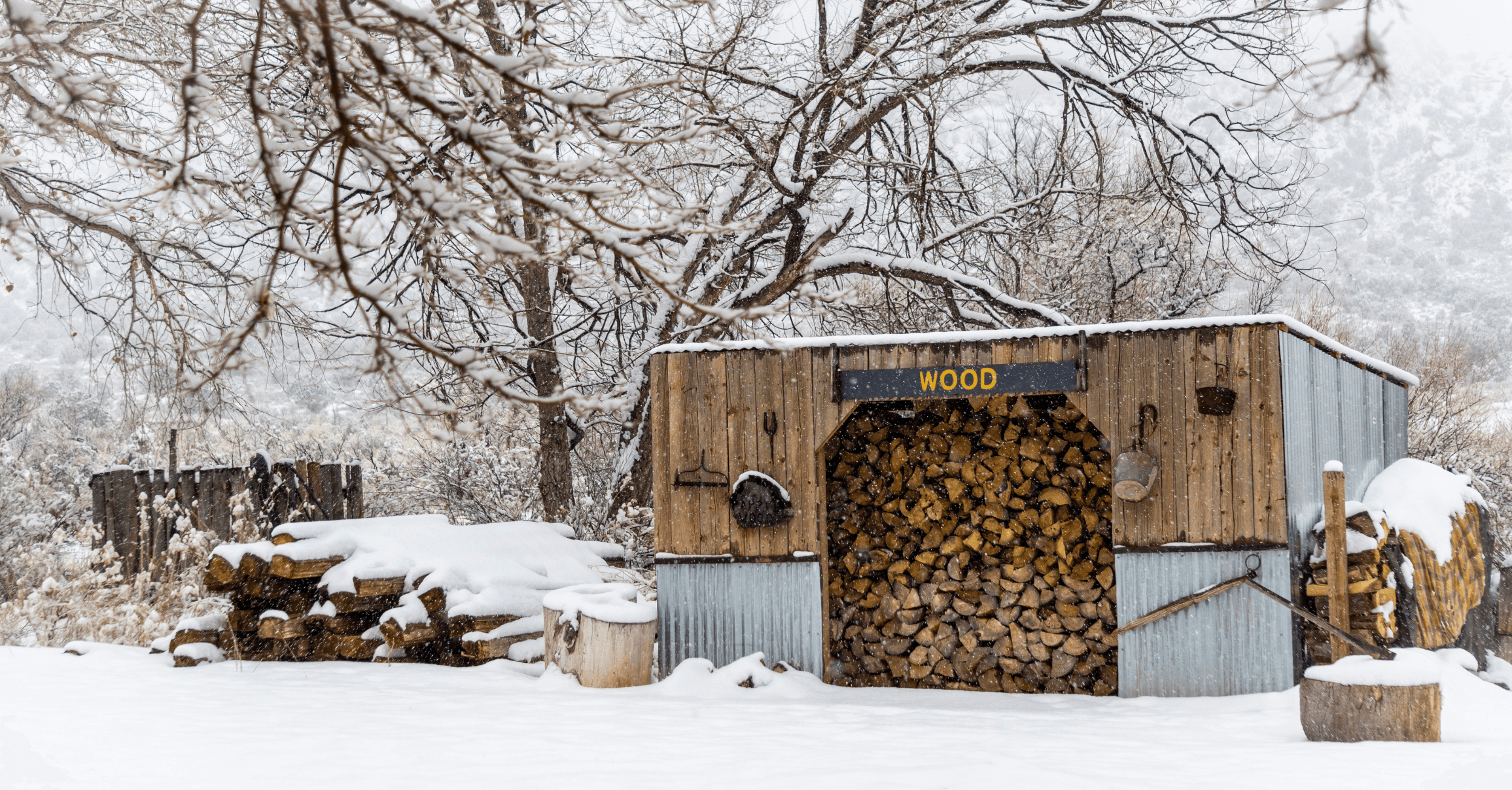 Shed Styles
